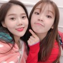 꽁냥꽁냥 이미지