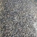 월학농장 이미지