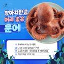 여황 | 문어의 유래(역사와 전파) 문어발과 문어 이름의 이유를 알아보자