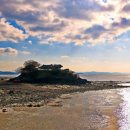 태안행정사 이미지