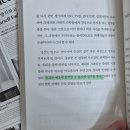 영스케 이미지