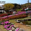 충남 알프스 칠갑산 청정 청양의 깨끗한 자연이 숨쉬는곳 청양농촌체험마을 칠갑산산꽃마을 이미지