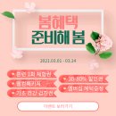상상도그 이미지