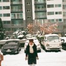 뮤슈슈