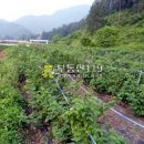 수청리농장 이미지