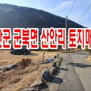 법무사안진완사무소