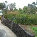 남원읍-123 이미지