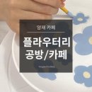 플라우터리
