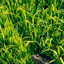 새시대공인중개사사무소 이미지