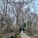 교래자연휴양림 이미지