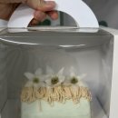 세븐일레븐 대구수성스타점 | 대구 수성구 케이크 주문 범어동 수제케이크 맛집 우스터