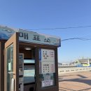 도장포어촌체험마을낚시터 | | 선재어촌체험마을 해상낚시터 - 인천 | 옹진군 유료 낚시터 조과 조항 후기 - 내돈내산