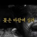 허망~~~~~~~~~~~~ 이미지