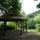 푸른솔관광 이미지