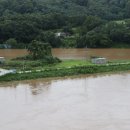 천둥축산 이미지