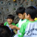 미르초등학교 이미지