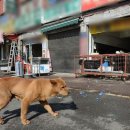 성남모란 이미지