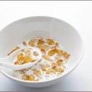 행정사사무소 공정 이미지