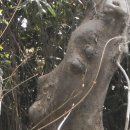 구천동1로 이미지