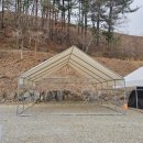 서울근교 벚꽃 캠핑장 추천 벚꽃 개화 벚꽃 만개 가평 지지밸리유명산오토캠핑장 계곡 캠핑 벚꽃 계곡