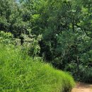 온수역 6번출구 이미지