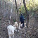 카페 첨산 Daum카페