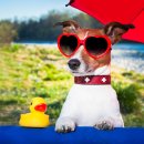 햇빛동물병원 이미지