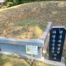 361 이미지