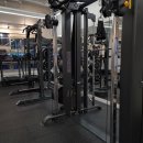 PT국대들 이미지