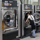 조례세탁소 이미지