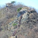 [울산안내산악회] 4월6일(일) 공주 계룡산 관음봉 벚꽃산행 블랙야크100대명산 산행 이미지