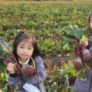 선명농장 이미지