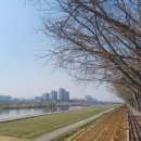 일출자동차공업사 이미지