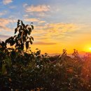 해복농장 이미지