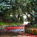 (주)동백관광 이미지