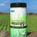 새싹 팜스토어
