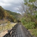 백석탄골부리캠핑장 이미지