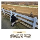 복지목장 | 농도원 목장, 31개월 아이와 12월에 다녀온 강력추천후기