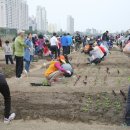 중랑천 제3체육공원 이미지