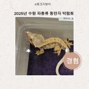 동반자 | 2025년 수원컨벤션센터 파충류 동반자 박람회 후기
