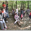 양대초등학교 이미지