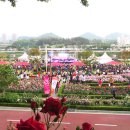 매향농촌체험휴양마을 이미지