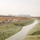 2021년1월22일(금요일) 시흥갯골,소래생태습지 걷기공지. 이미지