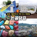 일출언덕신산게스트하우스 | 묵호항 논골담길 카페 주차 산책길 코스 맛집 총정리