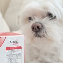 강아지 고양이 관절영양제 오메가3 안티놀래피드 1년 급여해보니