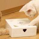 매직박스 이미지