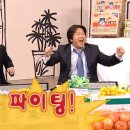 봄물결
