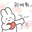 에폴리시스템 이미지