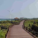 한림읍 월령리마을 이미지