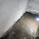 동서촌로 이미지